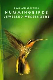 Poster do filme Hummingbirds: Jewelled Messengers