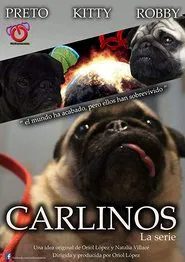 Carlinos, la serie tv show poster