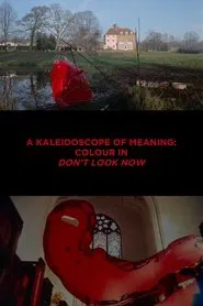 A Kaleidoscope of Meaning: Colour in Don't Look Now movie poster