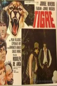 Tigre movie poster
