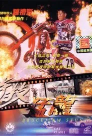 Bruce Law Stunts movie poster