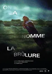 Call it the burning movie poster