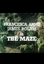 The Maze movie poster