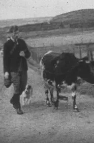 A Cattle Sale movie poster