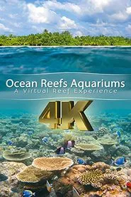 Ocean reefs aquariums (a vitual experience) movie poster