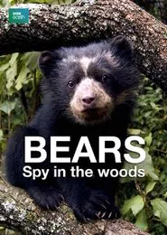Poster do filme Bears: Spy in the Woods