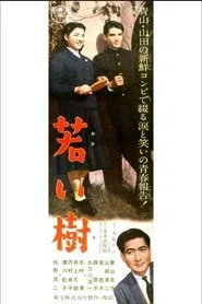 Poster do filme Young Tree