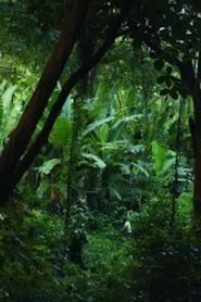 Soon It Will Be Dark movie poster