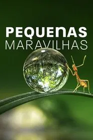 Poster da série Pequenas Maravilhas