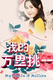 My One in a Million tv show poster