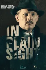 In Plain Sight tv show poster