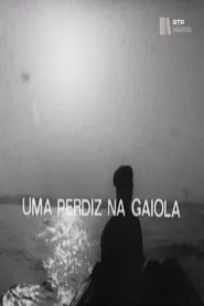 Uma Perdiz na Gaiola movie poster