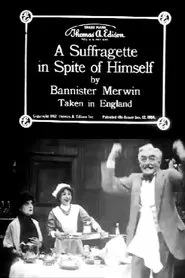 A Suffragette in Spite of Himself movie poster