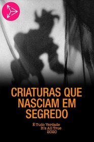 Criaturas Que Nasciam em Segredo movie poster