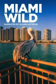 Poster do filme Miami Wild