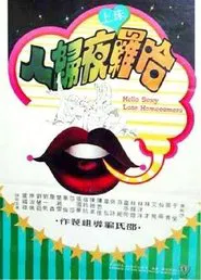Hello Sexy Late Homecomers movie poster