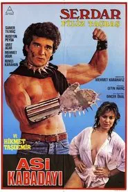 Asi Kabadayı movie poster