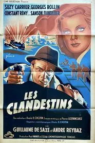 Poster do filme Clandestine