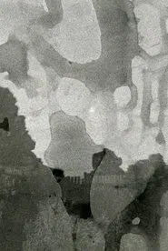 CEOL (RUINSONG) movie poster