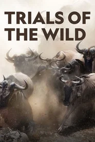 Trials of the Wild tv show poster