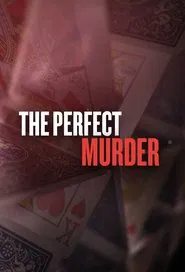 The Perfect Murder tv show poster