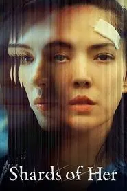 Poster da série Identidade Fragmentada