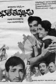Bhale Thammudu movie poster