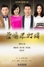 Poster da série 爱情不打烊