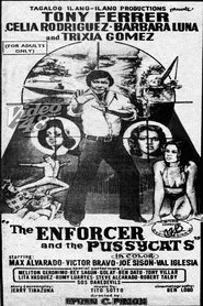 The Enforcer and the Pussycats movie poster