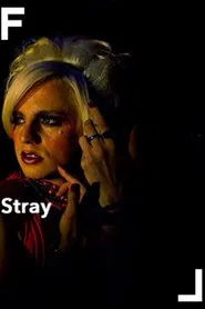 Stray movie poster