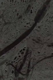 Ecosystem 6 ~ A Sort of Mycelium movie poster