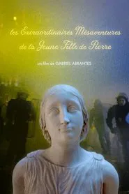 The Marvelous Misadventures of the Stone Lady movie poster