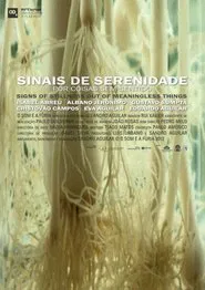 Poster do filme Signs of Stillness in Meaningless Things