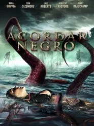 Poster do filme Acordar Negro