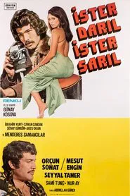 İster Darıl İster Sarıl movie poster