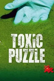 Poster do filme Toxic Puzzle: O Assassino Oculto