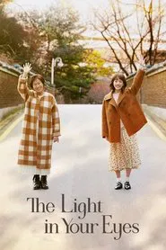 The Light in Your Eyes tv show poster