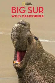 Big Sur: Wild California movie poster