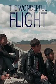 Poster do filme The Wonderful Flight