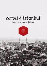 Cervel-i İstanbul movie poster