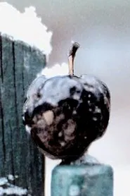 Light Years Expanding movie poster