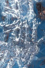 FOIL movie poster