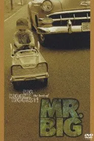 Big, Bigger, Biggest! The Best Of Mr. Big movie poster