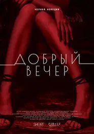 Poster do filme Good Evening