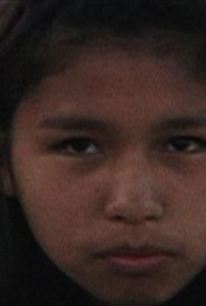 The Amendment movie poster