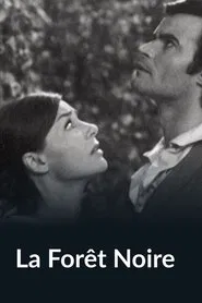 Poster do filme La forêt noire