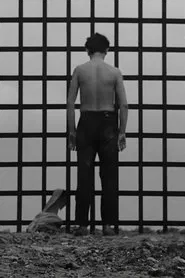 Poster do filme Exit