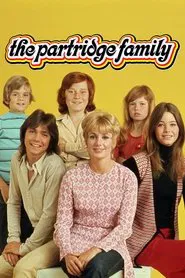 Partridge Family, The tv show poster