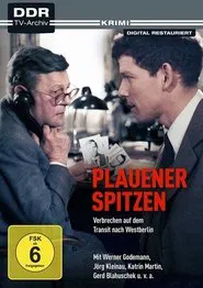 Plauener Spitzen movie poster
