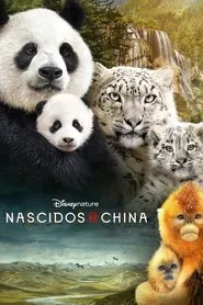 Poster do filme Nascidos na China